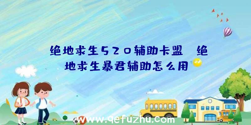 「绝地求生520辅助卡盟」|绝地求生暴君辅助怎么用